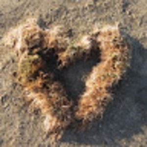 Meet your Posher, Peteramanda